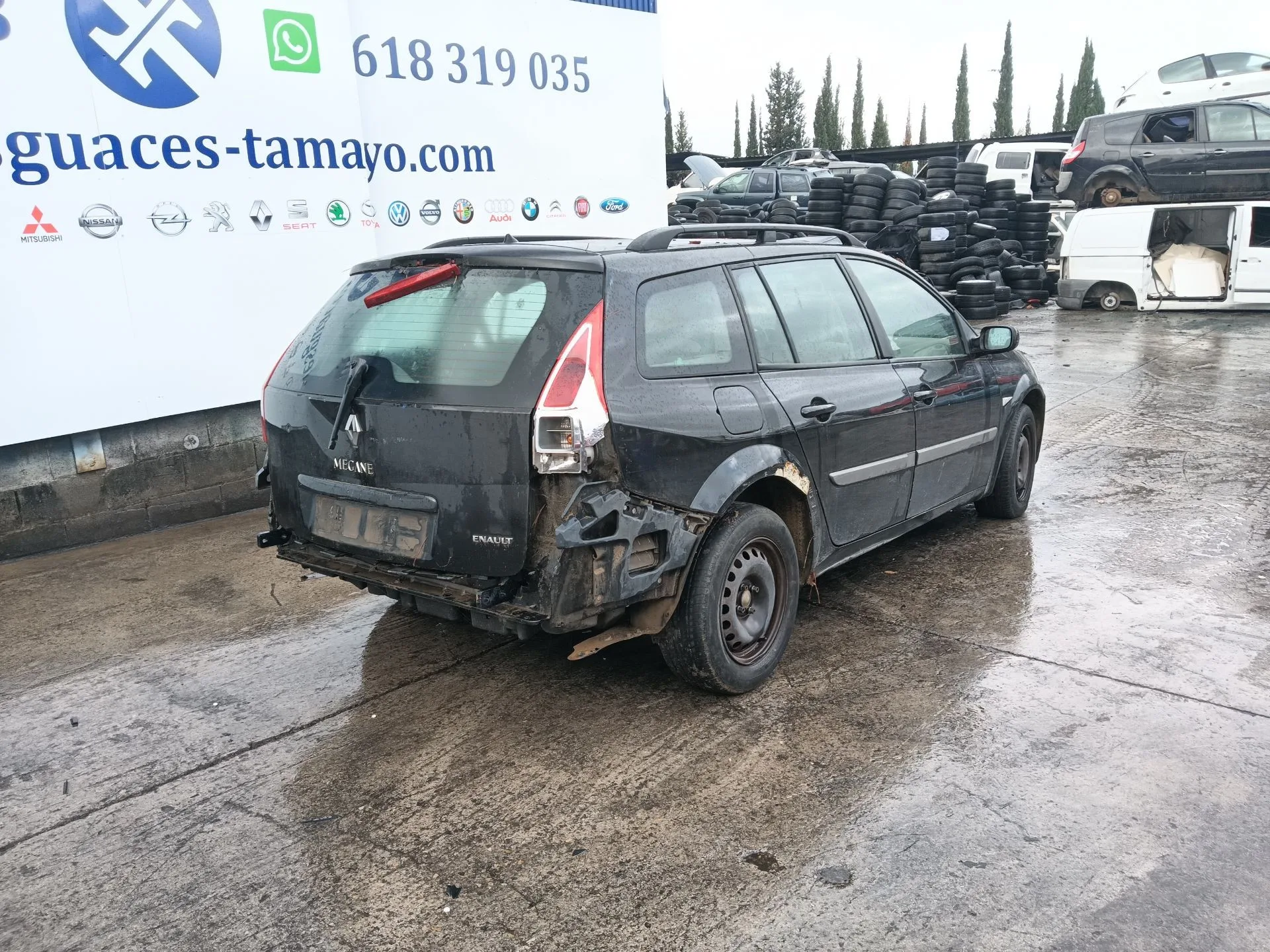 RENAULT MEGANE II STATION WAGON (KM0/1_)  2005
