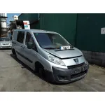 PEUGEOT EXPERT KASTEN PEUGEOT EXPERT KASTEN '2007 2.0 HDI CAT (RHK / DW10UTED4) PLATA 2007