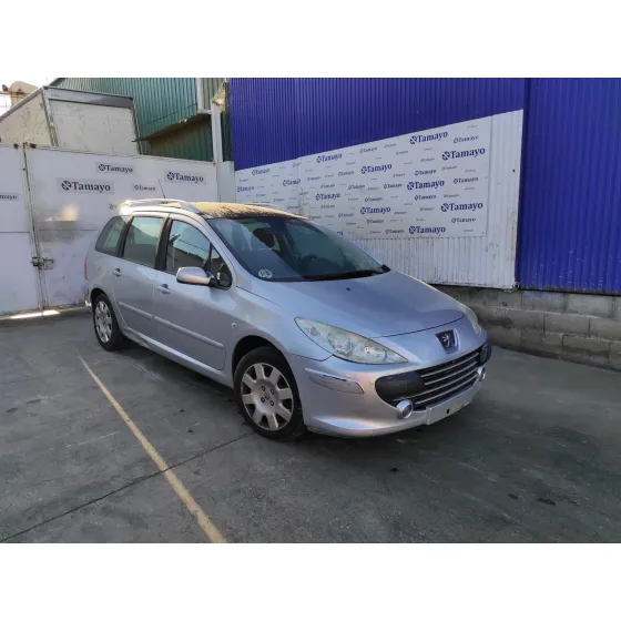 PEUGEOT 307 BREAK/SW (S2) '2006 1.6 16V CAT PLATA