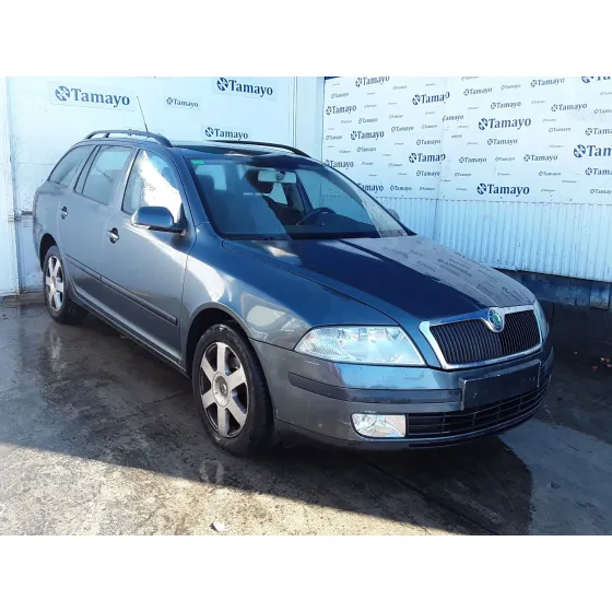 SKODA OCTAVIA COMBI (1Z5) '2005 1.9 TDI DPF GRIS