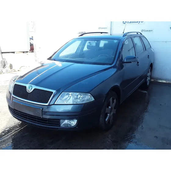 SKODA OCTAVIA COMBI (1Z5) '2005 1.9 TDI DPF GRIS