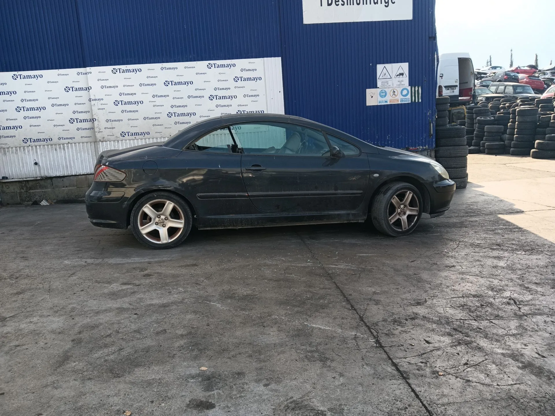 Peugeot 307 CC (3B) 2003