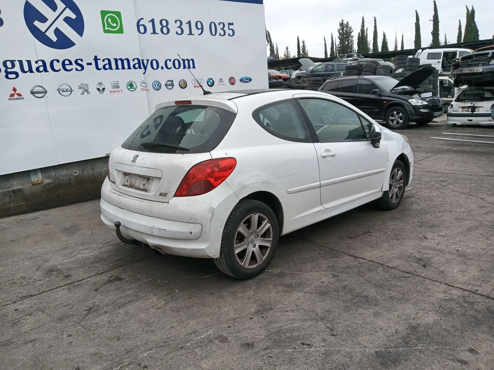 PEUGEOT 207/207+ (WA_, WC_)  2006