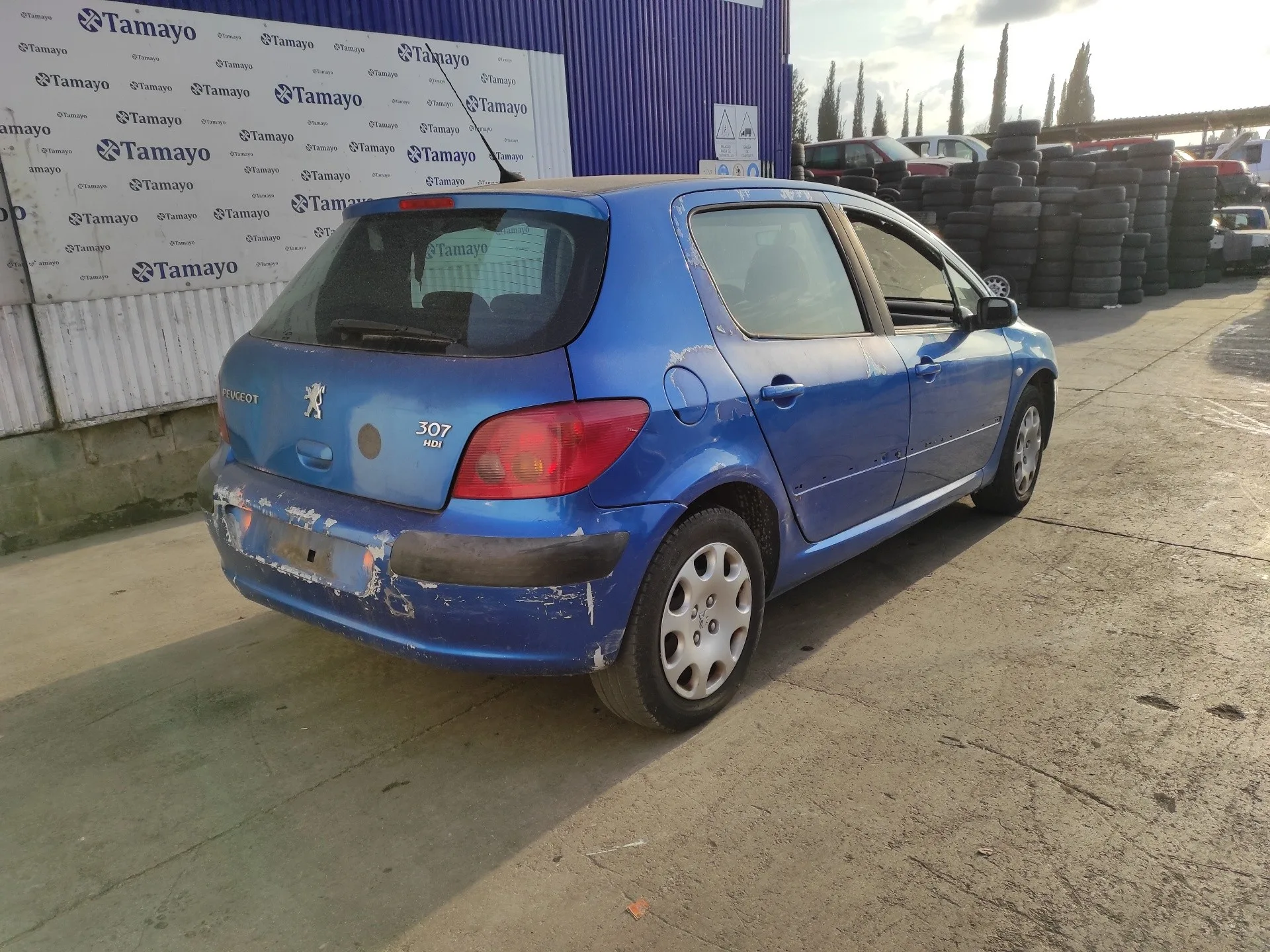 PEUGEOT 307 (S1) PEUGEOT 307 (S1) '2004 * AZUL 0