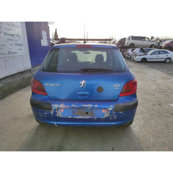 PEUGEOT 307 (S1) '2004 * AZUL