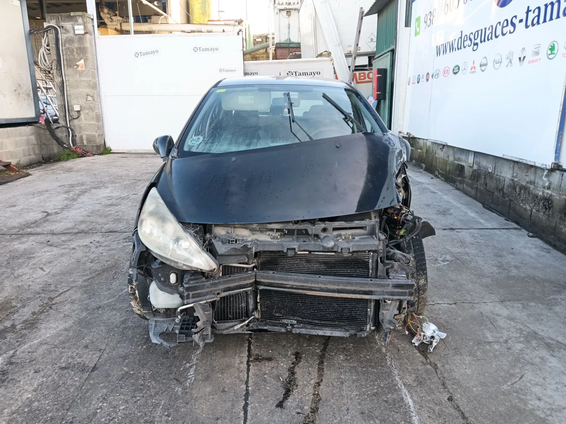 PEUGEOT 207/207+ (WA_, WC_)  2006