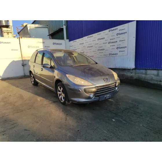 PEUGEOT 307 BREAK/SW (S2) '2008 * GRIS