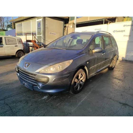 PEUGEOT 307 BREAK/SW (S2) '2008 * GRIS