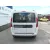 FIAT DOBLO AUTOBUS (263_)  2010