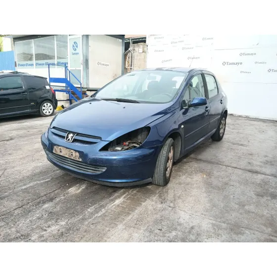 Peugeot 307 (3A/C) 2003