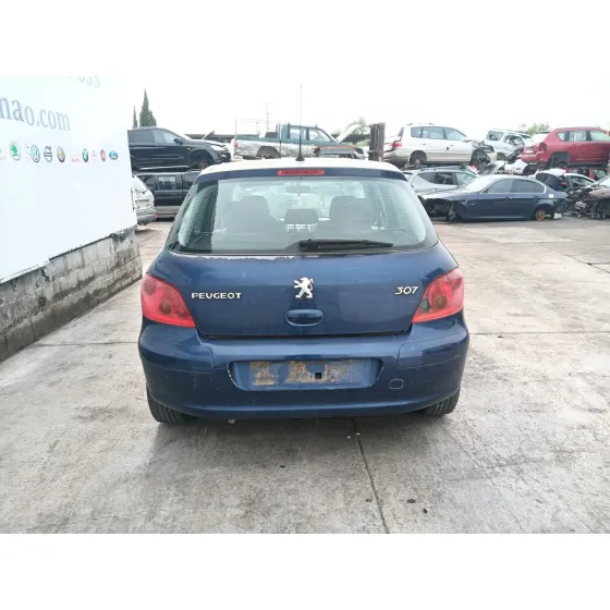 Peugeot 307 (3A/C) 2003