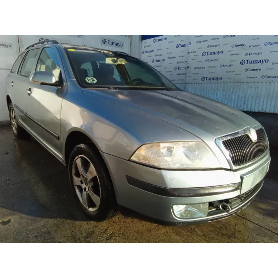 SKODA OCTAVIA COMBI (1Z5) '2006 1.9 TDI GRIS AZULADO