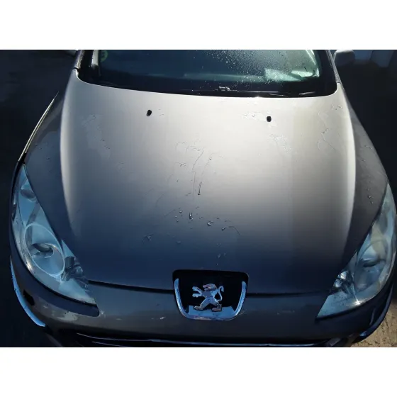 PEUGEOT 407 SW '2007 2.0 16V HDI FAP CAT (RHR / DW10BTED4) GRIS
