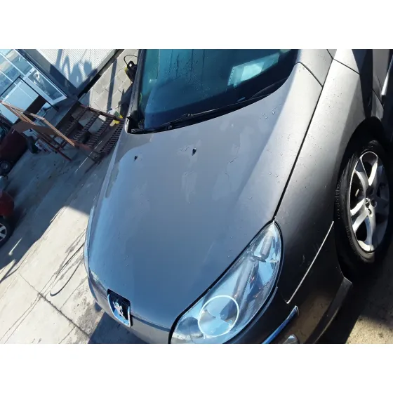 PEUGEOT 407 SW '2007 2.0 16V HDI FAP CAT (RHR / DW10BTED4) GRIS