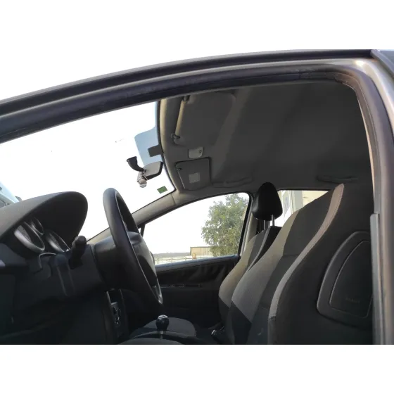 PEUGEOT 207 '2008 PLATA
