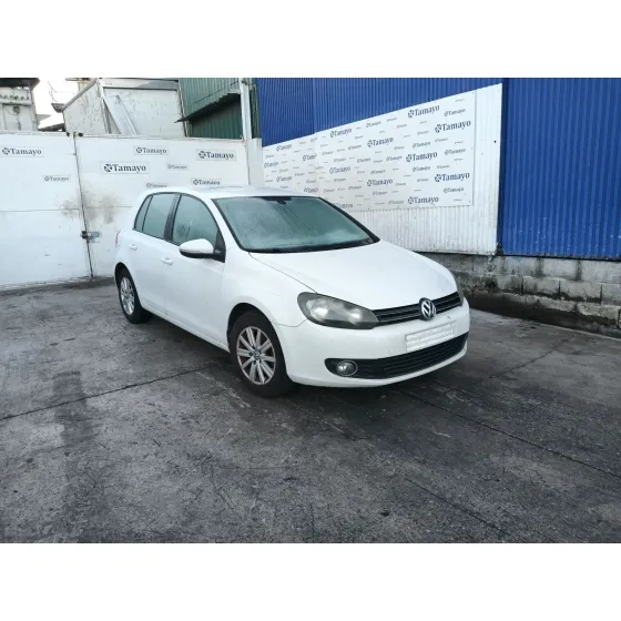 Volkswagen GOLF VI (5K1) 2009