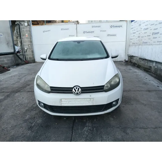 Volkswagen GOLF VI (5K1) 2009