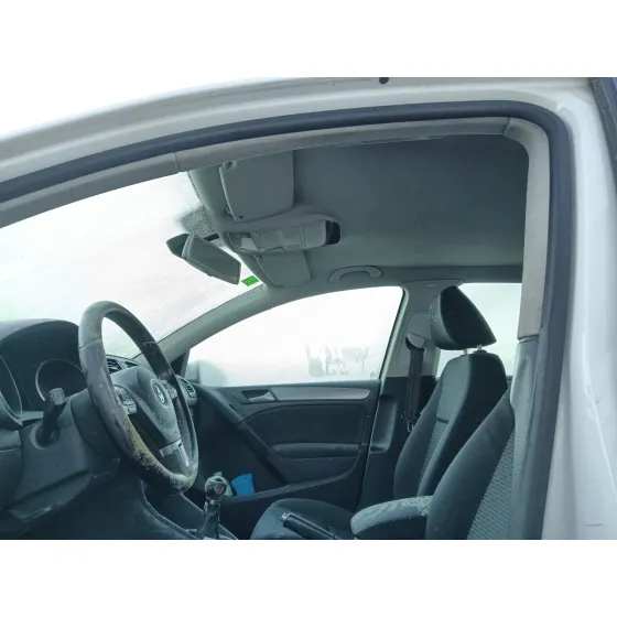 Volkswagen GOLF VI (5K1) 2009