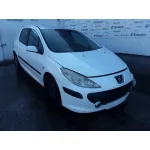 PEUGEOT 307 (S1) PEUGEOT 307 (S1) '2006 1.6 16V CAT BLANCO 2001