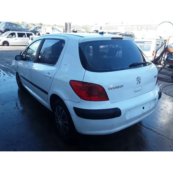 PEUGEOT 307 (S1) '2006 1.6 16V CAT BLANCO