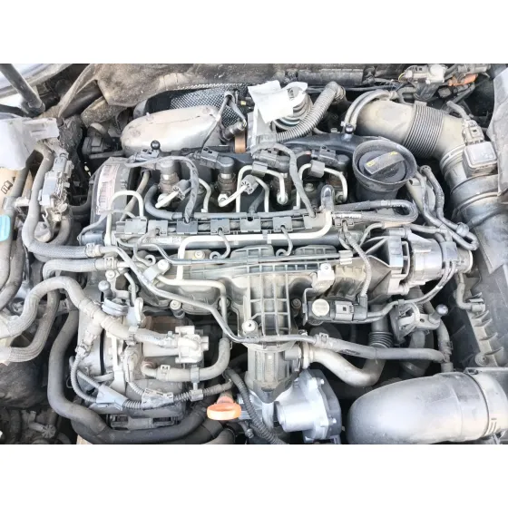 Volkswagen GOLF VI (5K1) 2009