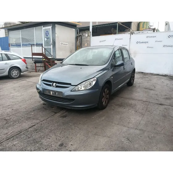 Peugeot 307 (3A/C) 2000