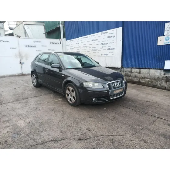 Audi A3 (8P1) 2006