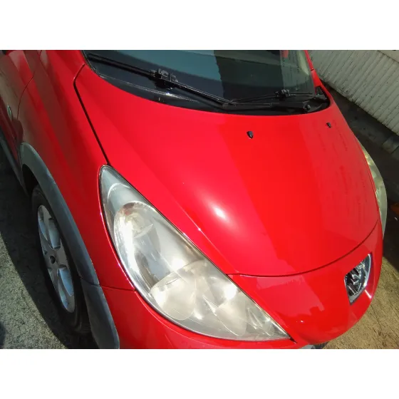 PEUGEOT 207 SW '2008 1.6 HDI FAP CAT (9HZ / DV6TED4) ROJO