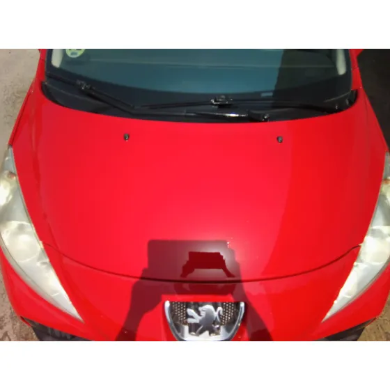 PEUGEOT 207 SW '2008 1.6 HDI FAP CAT (9HZ / DV6TED4) ROJO
