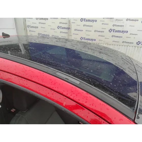 PEUGEOT 207 '2007 1.6 16V HDI ROJO