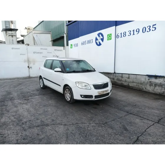 Skoda FABIA II (542) 2006