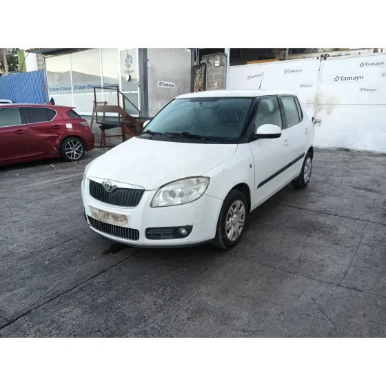 Skoda FABIA II (542) 2006