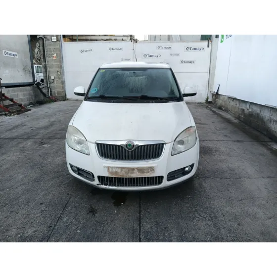 Skoda FABIA II (542) 2006