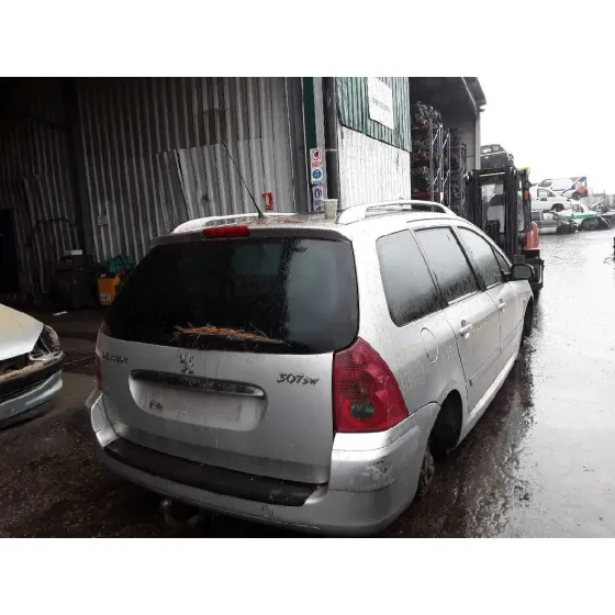 PEUGEOT 307 BREAK / SW (S1) '2005 1.6 HDI PLATA