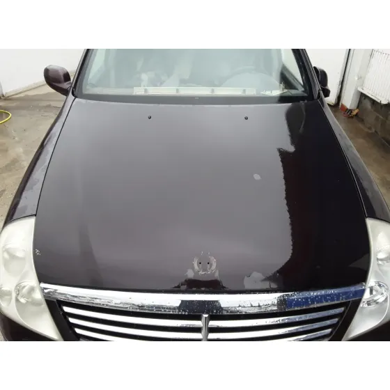 SSANGYONG REXTON '2005 * BERENJENA