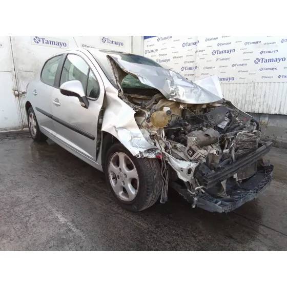 PEUGEOT 207 '2010 1.4 PLATA