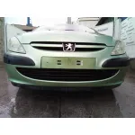 PEUGEOT 307 (S1) PEUGEOT 307 (S1) '2002 2.0 16V CAT VERDE 2001