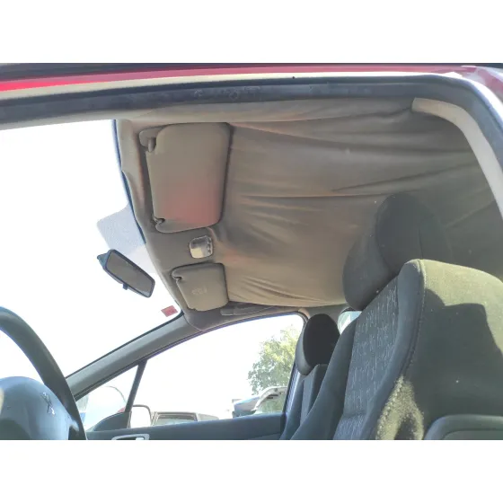 PEUGEOT 307 (S1) '2004 2.0 HDI CAT GRANATE