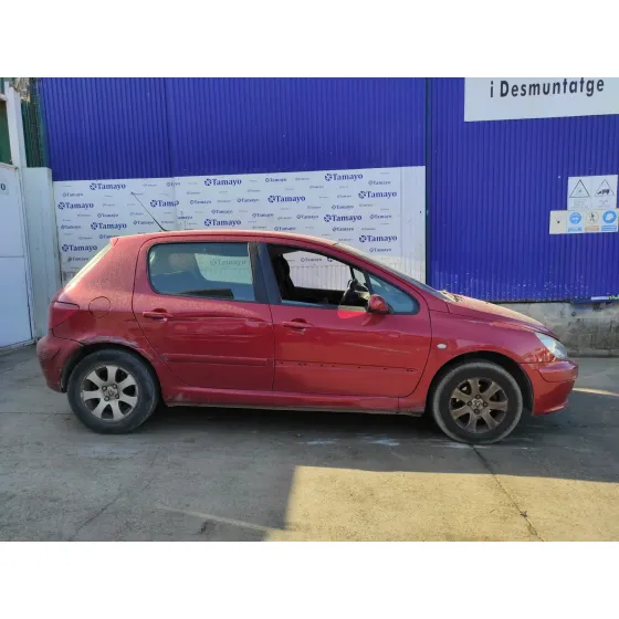 PEUGEOT 307 (S1) '2004 2.0 HDI CAT GRANATE