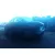 VOLKSWAGEN NEW BEETLE (9C1/1C1) VOLKSWAGEN NEW BEETLE (9C1/1C1) '2003 2.0 VERDE 1999