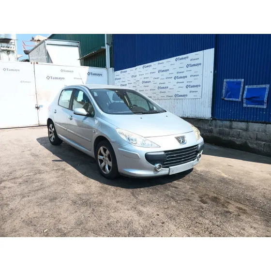 Peugeot 307 (3A/C) 2004