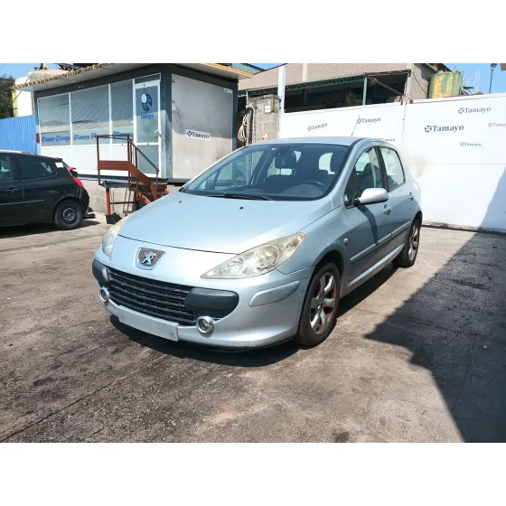 Peugeot 307 (3A/C) 2004