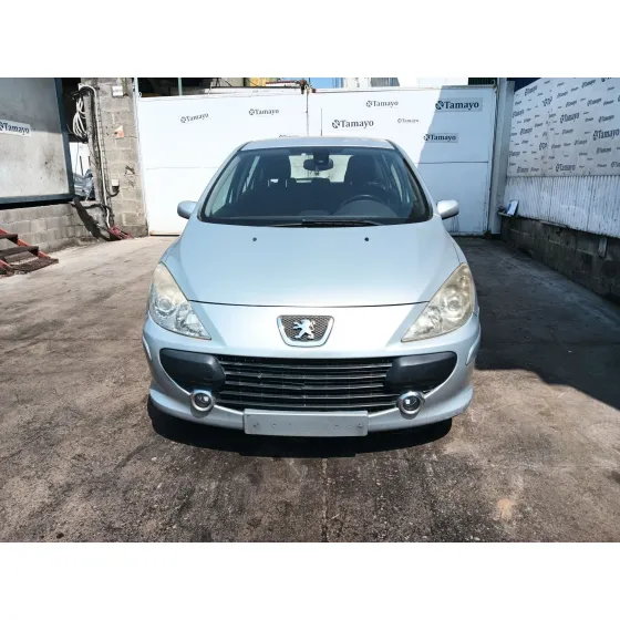 Peugeot 307 (3A/C) 2004