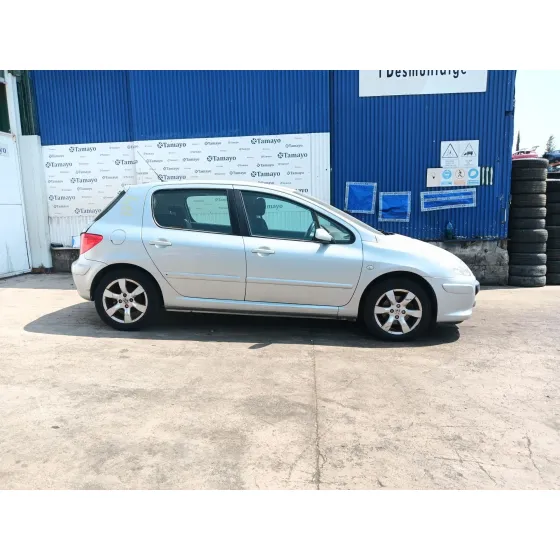Peugeot 307 (3A/C) 2004