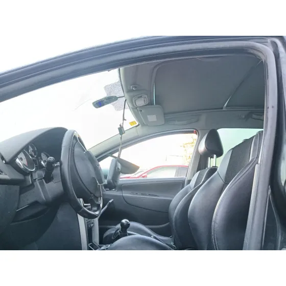 Peugeot 207 SW (WK_) 2007