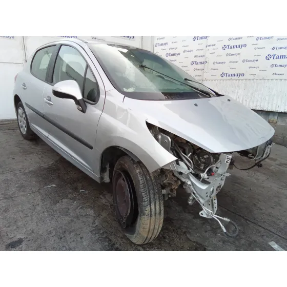 PEUGEOT 207 '2007 1.4 16V CAT (KFU / ET3J4) PLATA