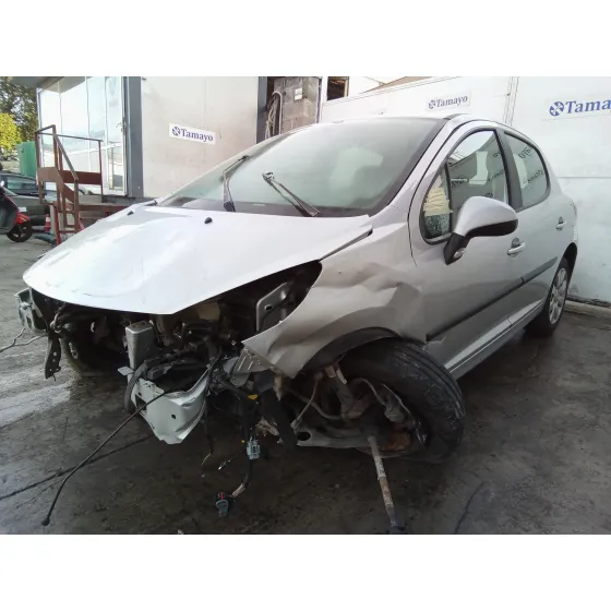 PEUGEOT 207 '2007 1.4 16V CAT (KFU / ET3J4) PLATA