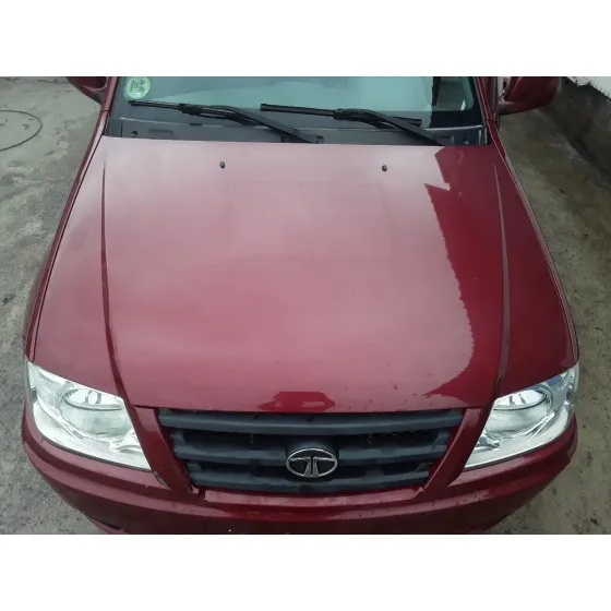 TATA XENON '2009 4X4/III GRANATE