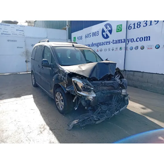 Citroen BERLINGO MULTISPACE (B9) 2014