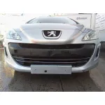 PEUGEOT 308 PEUGEOT 308 '2008 1.4 16V VTI PLATA 2007